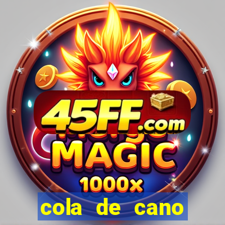 cola de cano quanto tempo para secar